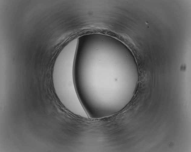 X0000093141110200709261052