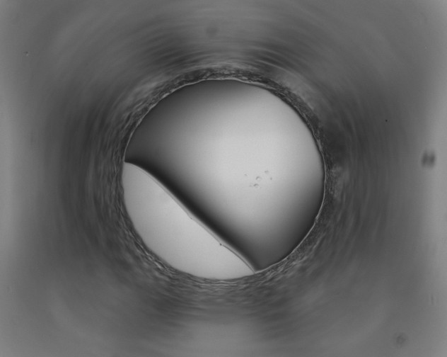 X0000093141111200709261052