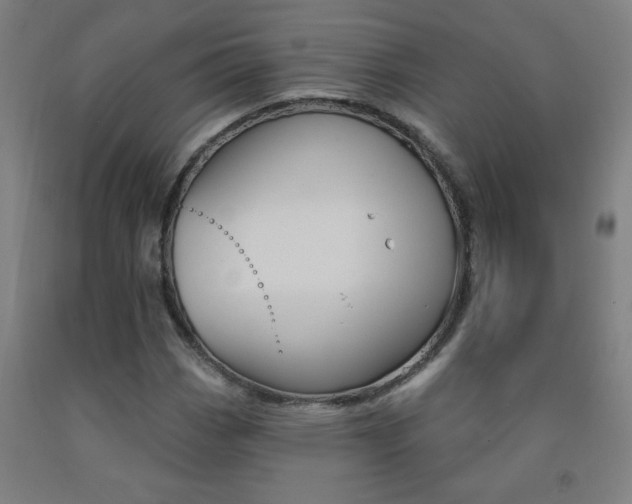 X0000093141113200709261052