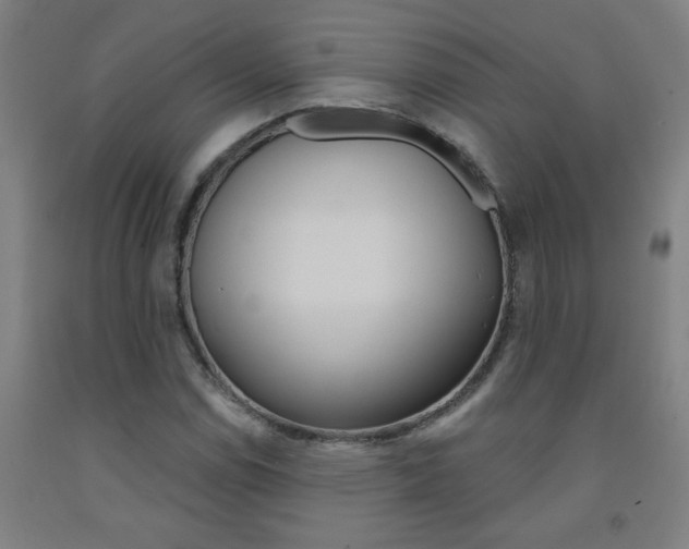 X0000093141114200709261052