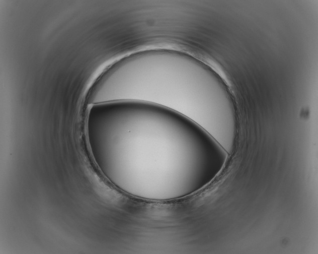 X0000093141116200709261052