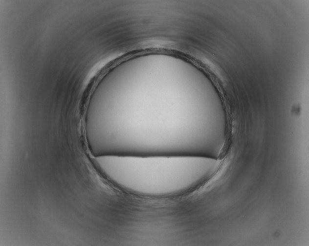 X0000093141117200709261052