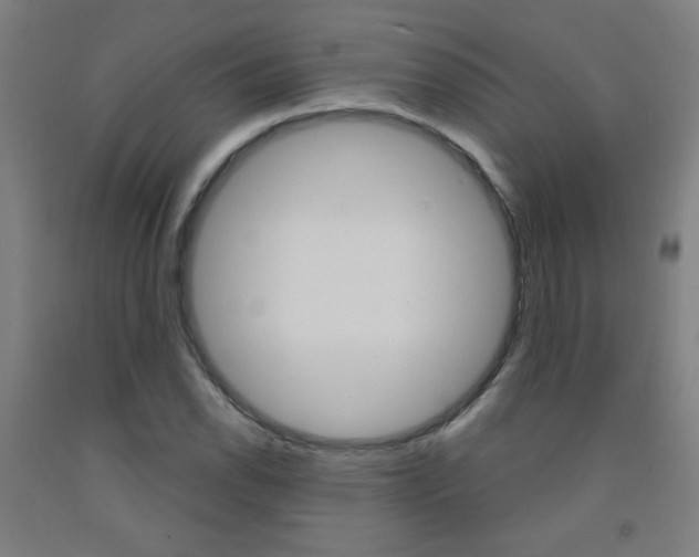 X0000093141118200709261052