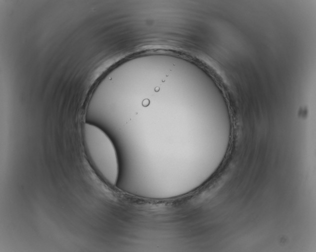 X0000093141121200709261052