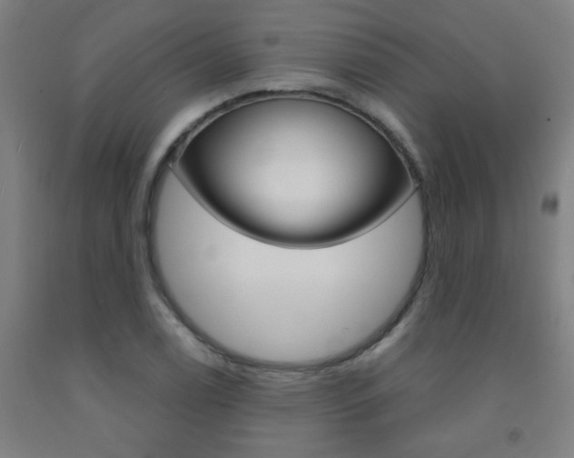 X0000093141122200709261052