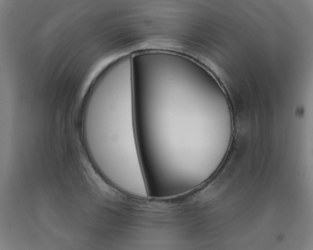 X0000093141123200709261052