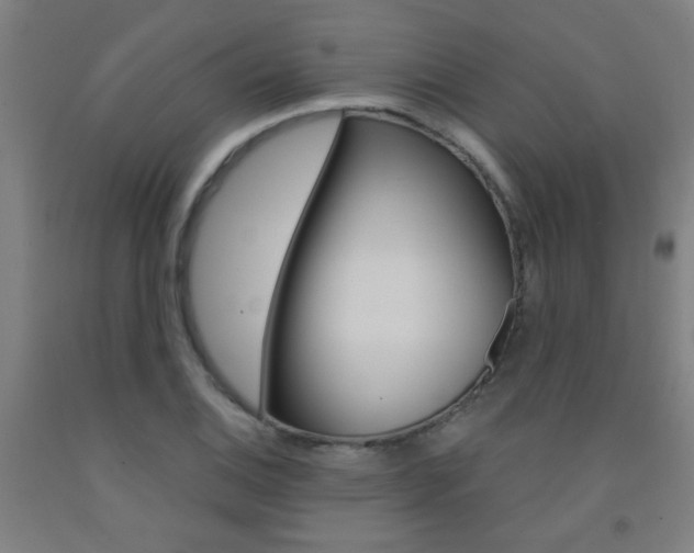 X0000093141124200709261052