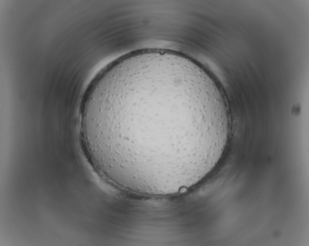 X0000093141125200709261052
