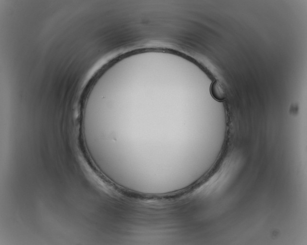X0000093141126200709261052