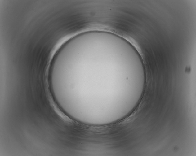 X0000093141128200709261052