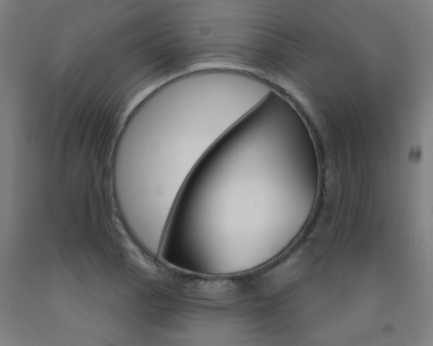 X0000093141129200709261052