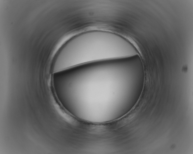 X0000093141131200709261052