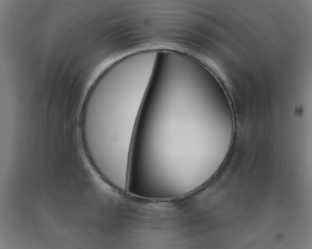 X0000093141133200709261052