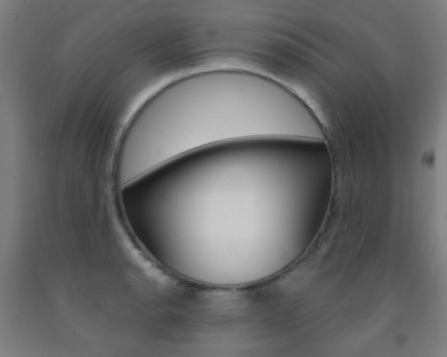 X0000093141134200709261052