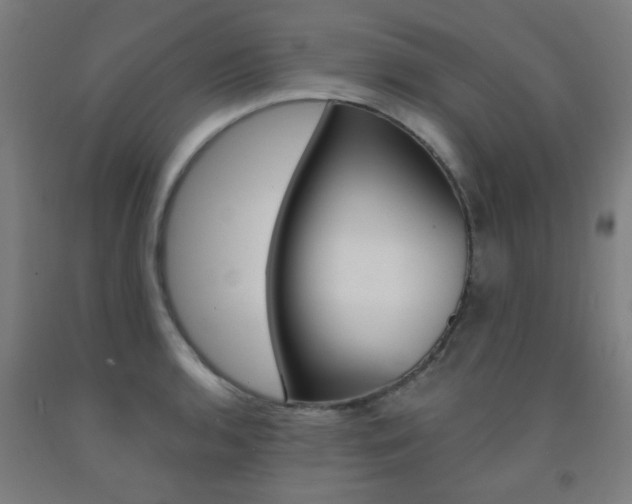 X0000093141136200709261052