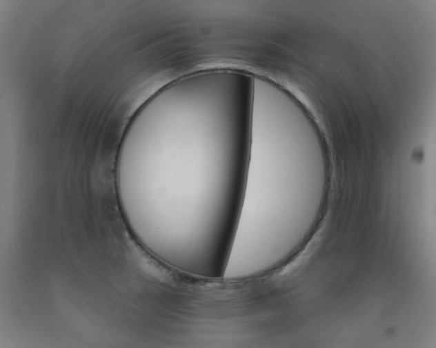 X0000093141137200709261052