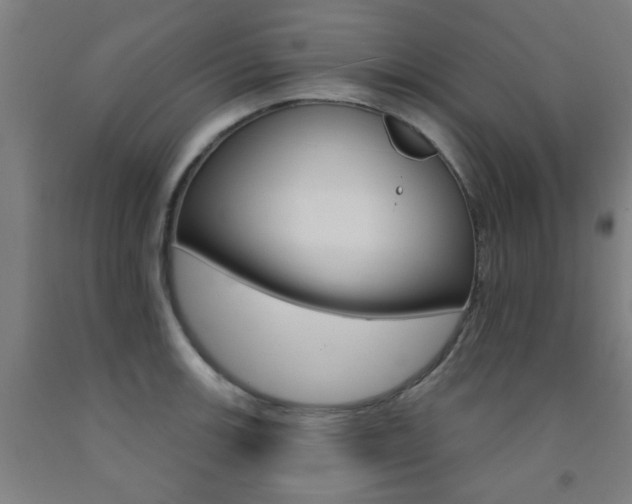 X0000093141139200709261052