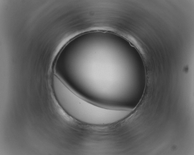 X0000093141140200709261052