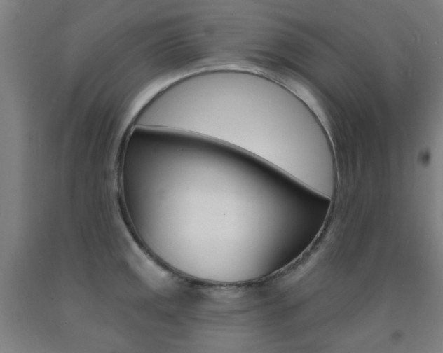 X0000093141141200709261052