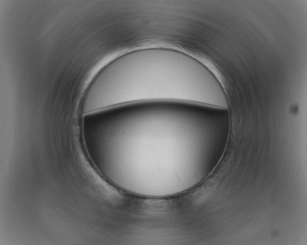 X0000093141142200709261052