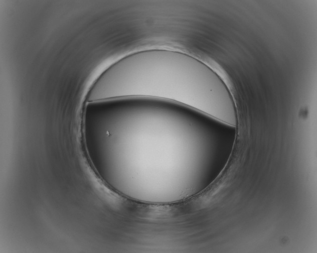 X0000093141144200709261052