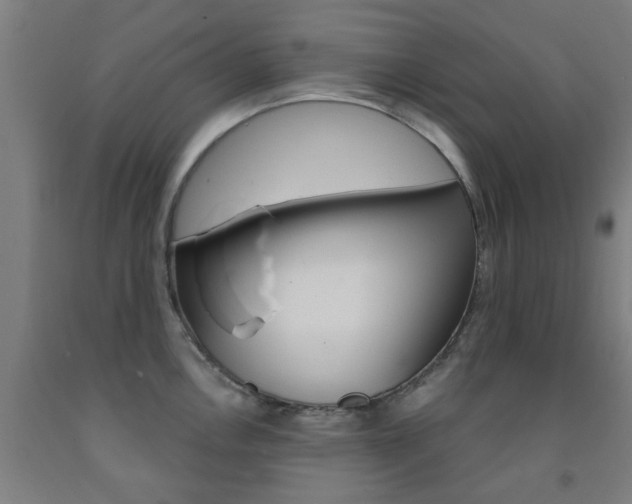 X0000093141146200709261052