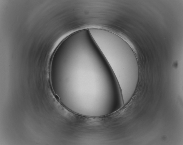 X0000093141148200709261052
