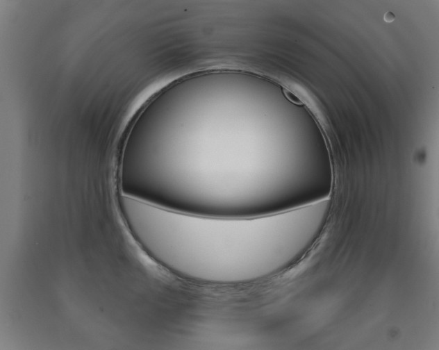 X0000093141149200709261052
