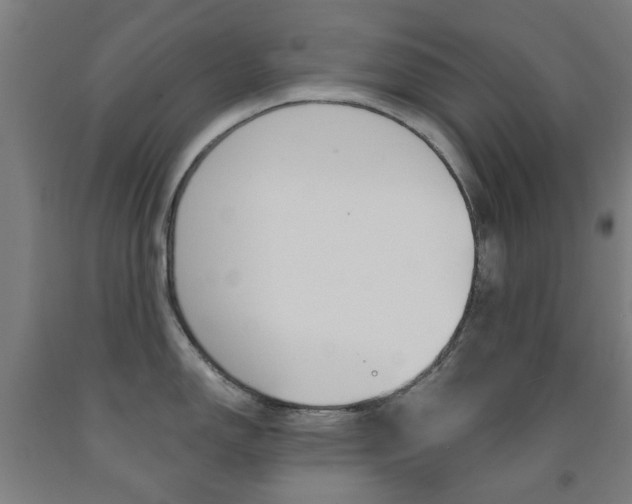 X0000093141150200709261052