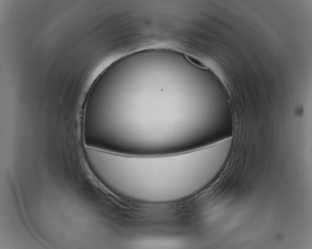 X0000093141151200709261052