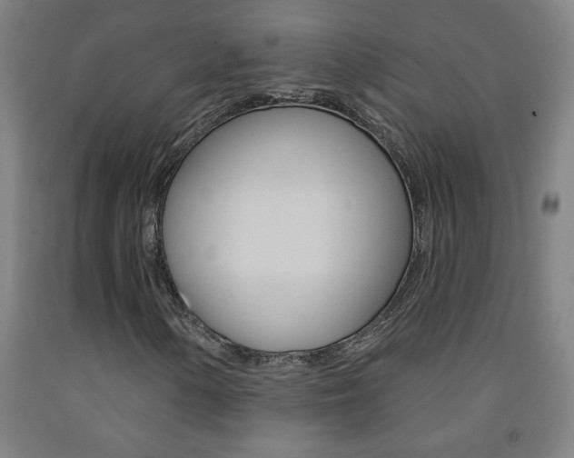 X0000093141154200709261052