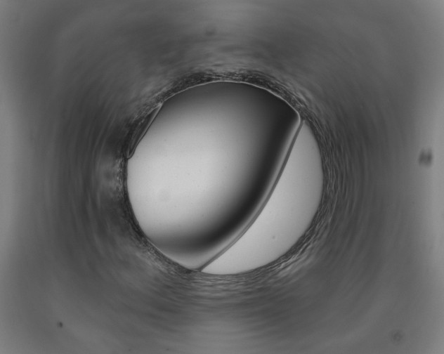 X0000093141156200709261052