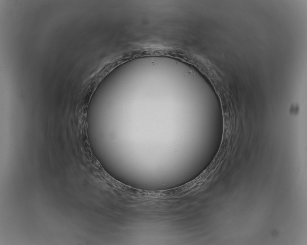 X0000093141157200709261052