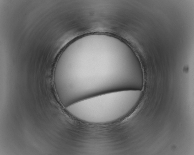 X0000093141170200709261051