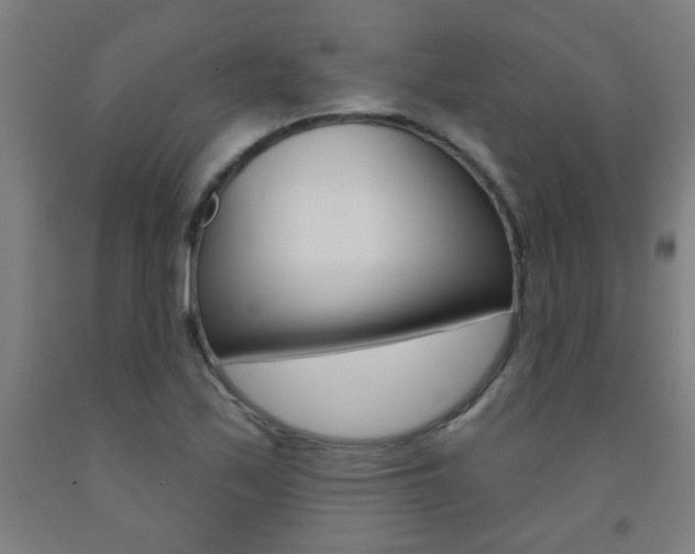 X0000093141171200709261051