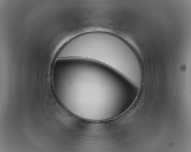X0000093141173200709261051