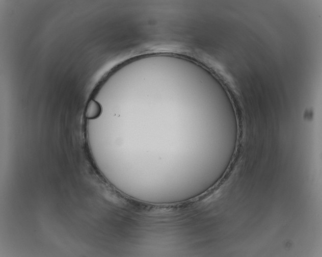 X0000093141174200709261051