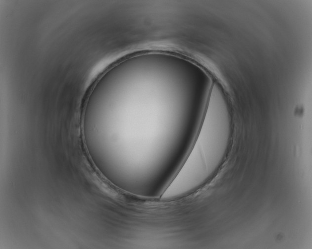 X0000093141176200709261051