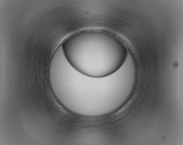 X0000093141177200709261051