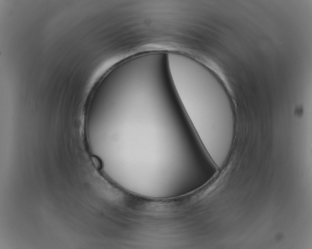 X0000093141179200709261051