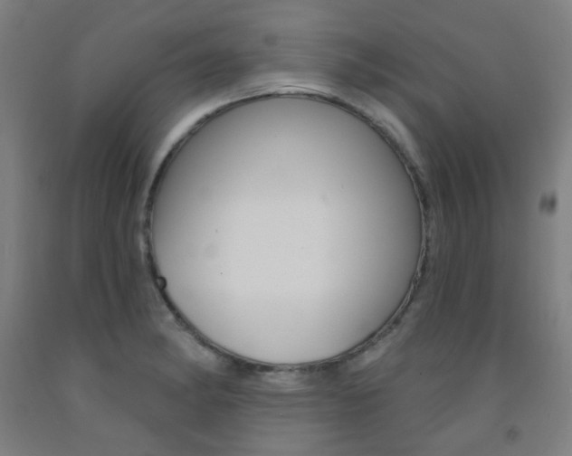 X0000093141182200709261051