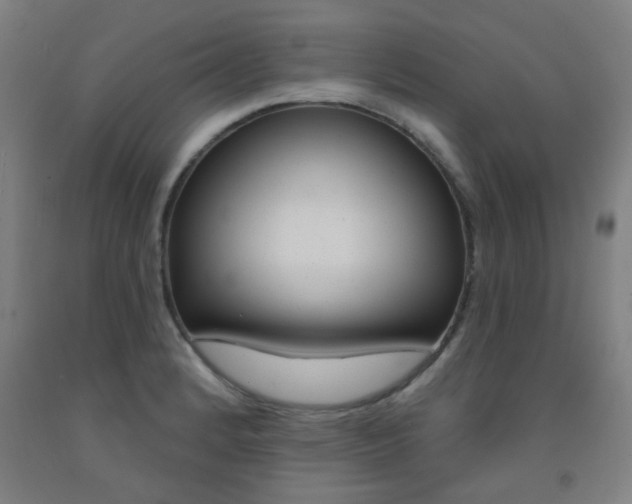 X0000093141184200709261051