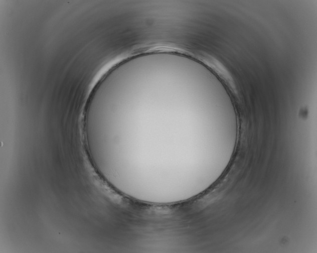 X0000093141190200709261051