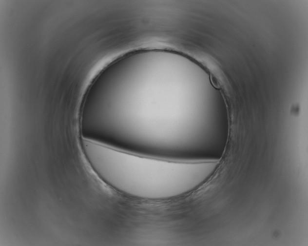 X0000093141191200709261051