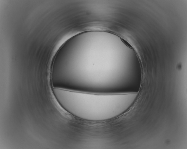 X0000093141195200709261051