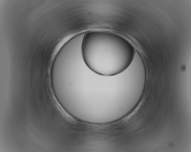 X0000093141196200709261051