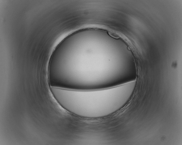 X0000093141199200709261051