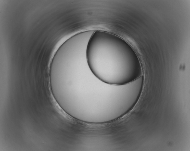X0000093141200200709261051