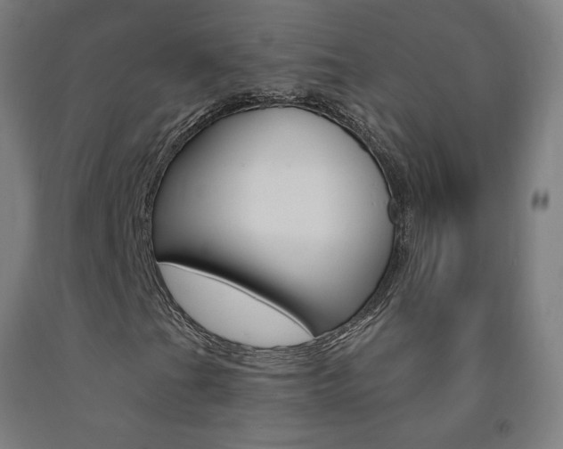 X0000093141201200709261050
