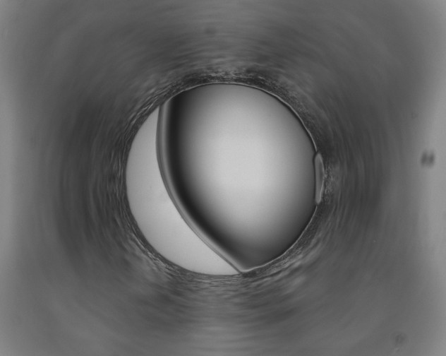 X0000093141202200709261050